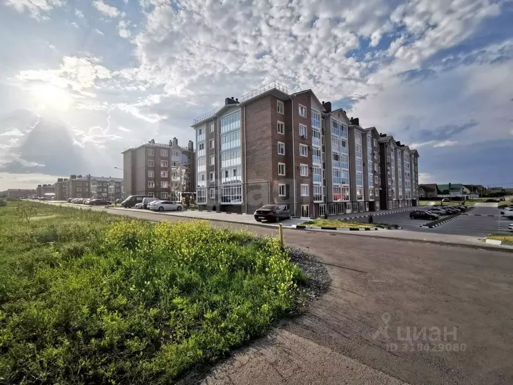 Офис в Белгородская область, Белгородский район, Северный городское ... - Фото 1