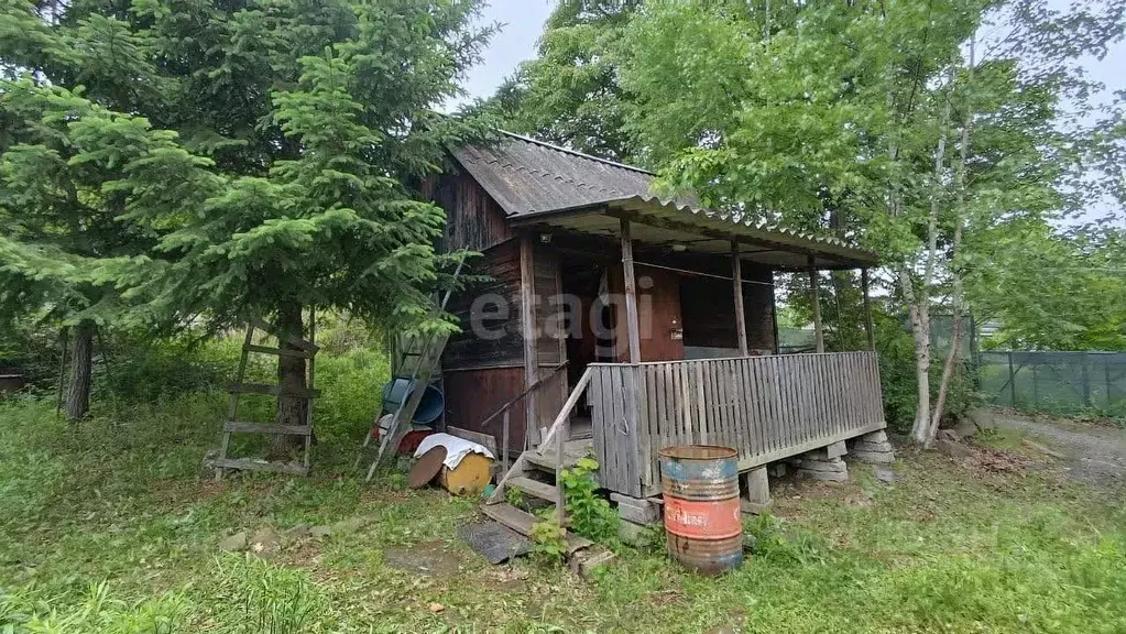 Дом в Приморский край, Надеждинский район, Букет СНТ  (40 м) - Фото 1