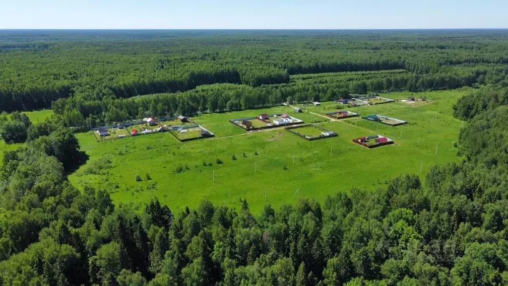 Участок в Владимирская область, Судогодский район, Головинское ... - Фото 1