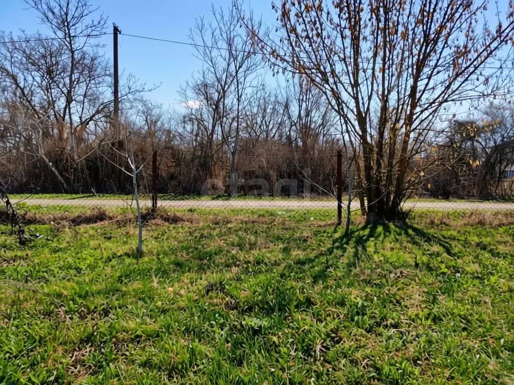 Участок в Краснодарский край, Славянский район, Прикубанское с/пос, ... - Фото 1