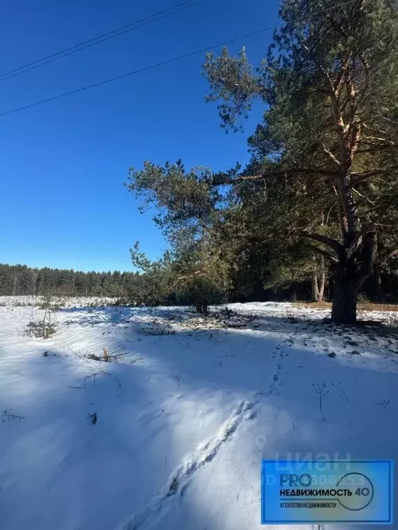 Участок в Калужская область, Боровск городское поселение  (10.0 сот.) - Фото 0