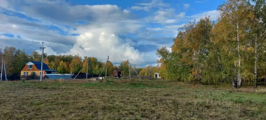 Участок в Челябинская область, Красноармейский район, Козыревское ... - Фото 2