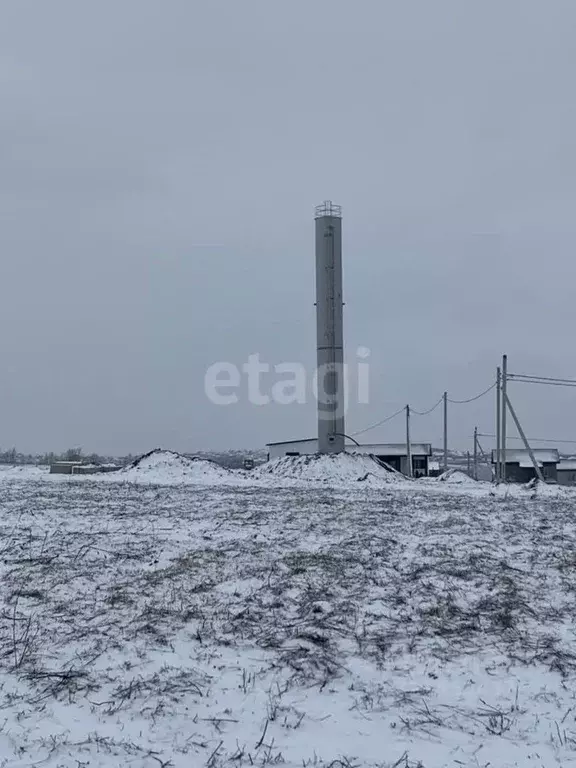 Участок в Белгородская область, Белгородский район, Головинское с/пос, ... - Фото 2