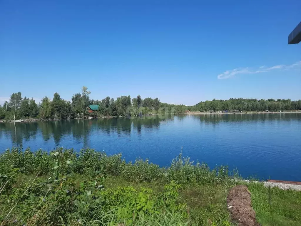 Участок в Алтайский край, Бийский район, Чуйский СНТ ул. Береговая ... - Фото 1