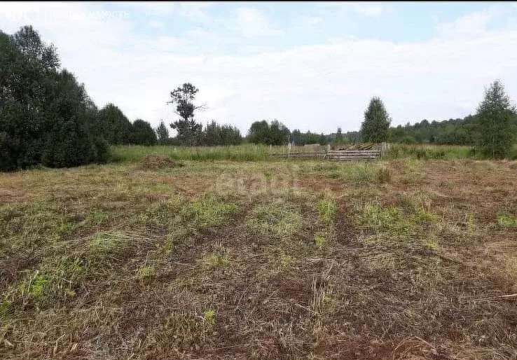 Участок в Ярославская область, Угличский муниципальный округ, деревня ... - Фото 1