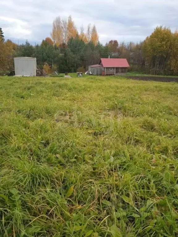 Участок в Вологодская область, д. Морино 15А (8.8 сот.) - Фото 0