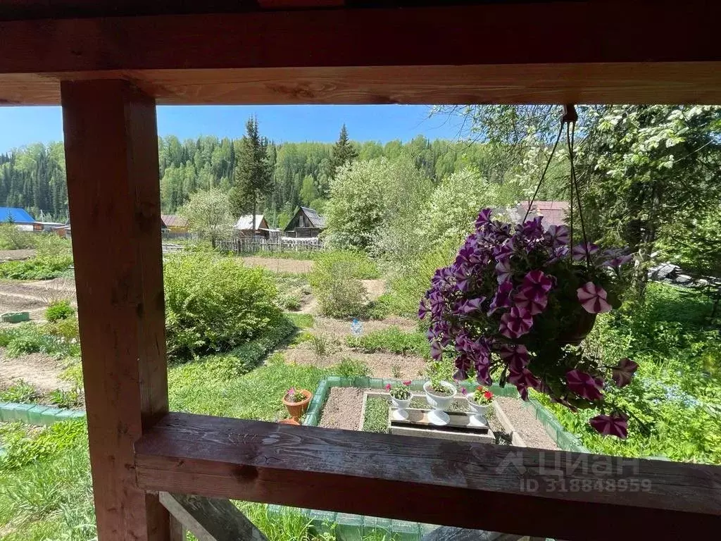 Дом в Кемеровская область, Таштагол ул. Дальняя Каменушка-2, 60 (33 м) - Фото 1