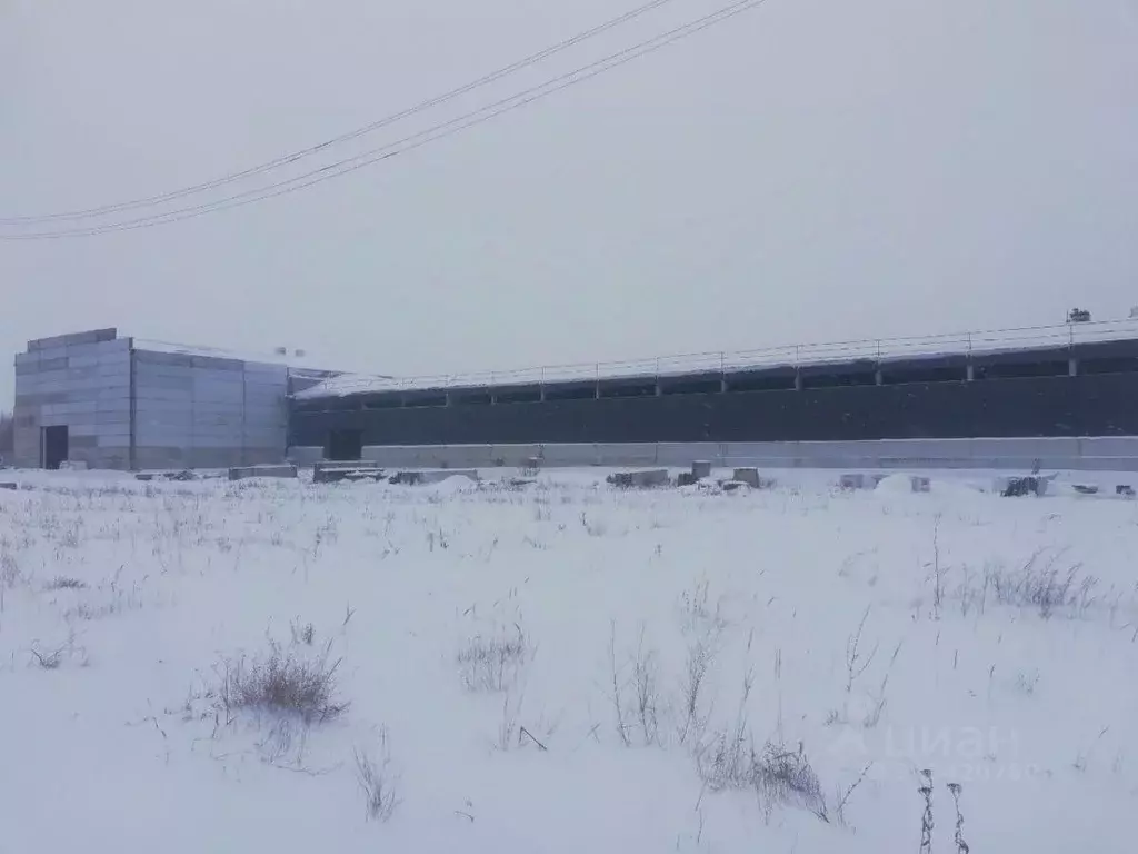 Производственное помещение в Татарстан, Елабуга муниципальное ... - Фото 1