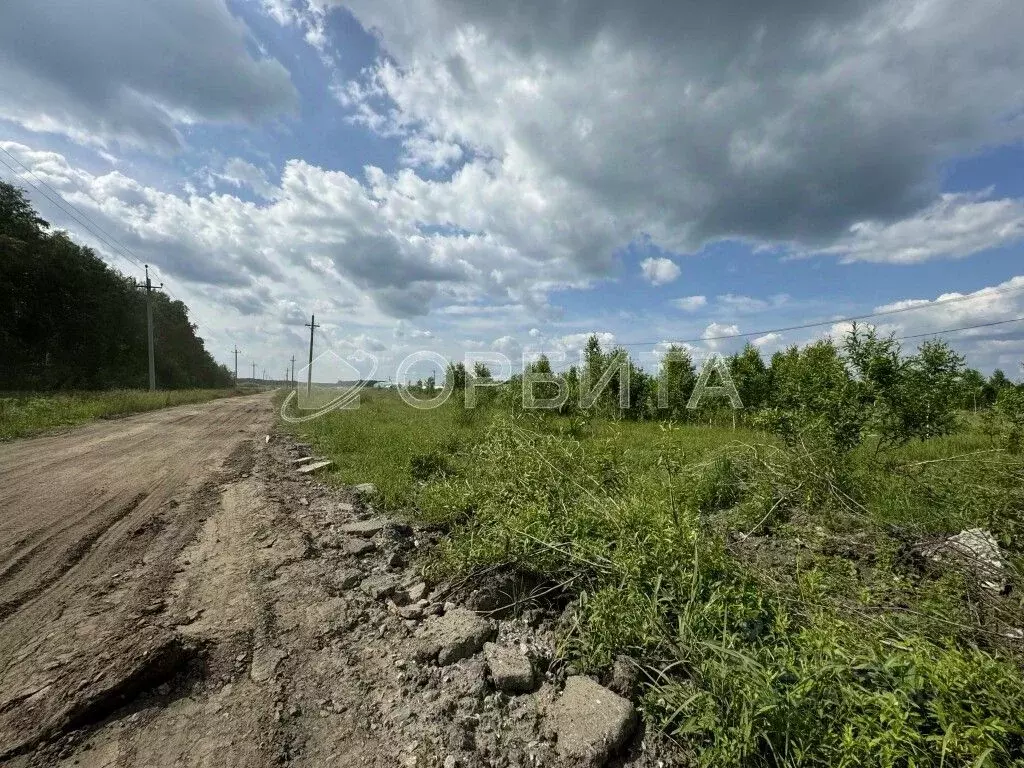 Участок в Тюменская область, Тюменский район, с. Горьковка  (6.14 ... - Фото 0
