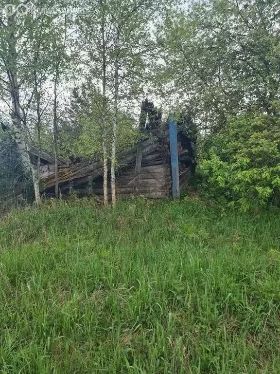 Дом в Новгородская область, Крестецкий муниципальный округ, деревня ... - Фото 1