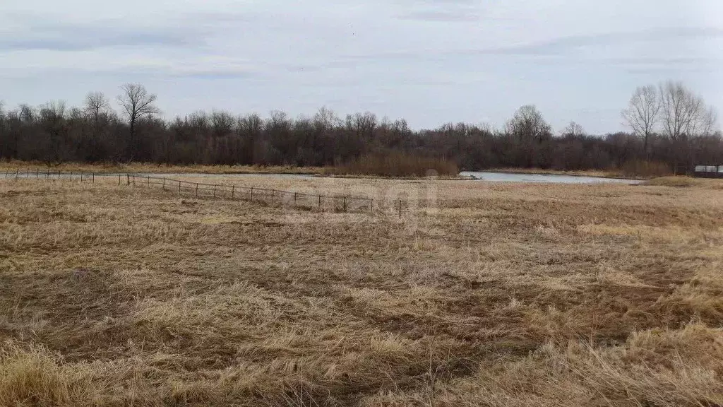 Участок в Красноярский край, Сосновоборский муниципальный округ, с. ... - Фото 1