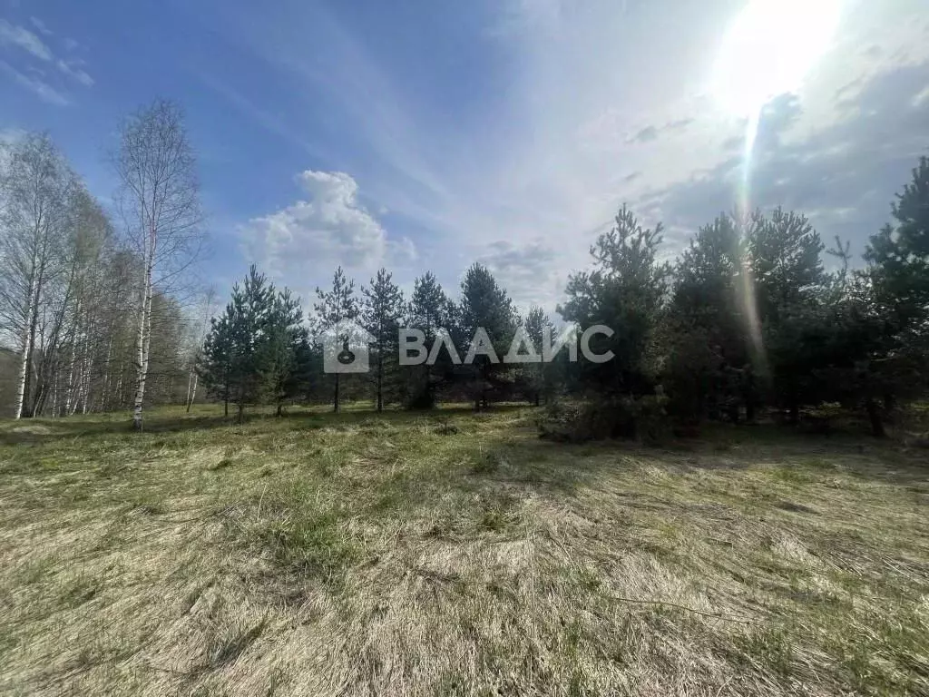 Участок в Владимирская область, Судогодский район, Муромцевское ... - Фото 0