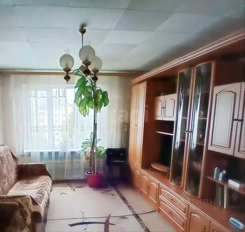 3-к кв. Воронежская область, Воронеж пер. Парашютистов, 10 (53.0 м) - Фото 0