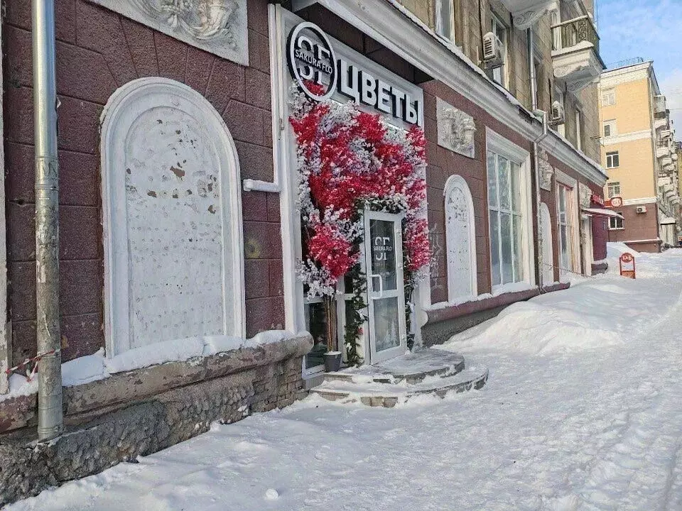 Помещение свободного назначения в Новосибирская область, Новосибирск ... - Фото 1