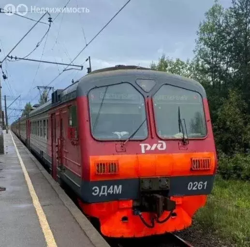 Участок в Ленинградская область, Гатчинский муниципальный округ, ... - Фото 0