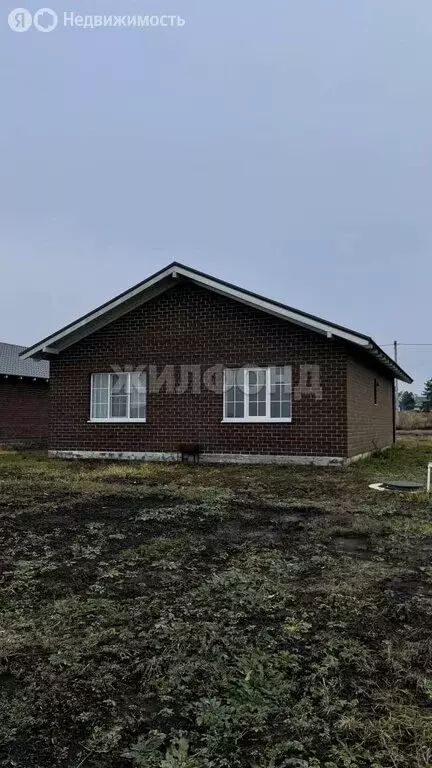 Дом в Новоживотинное, улица Новосёлов (84.5 м) - Фото 2