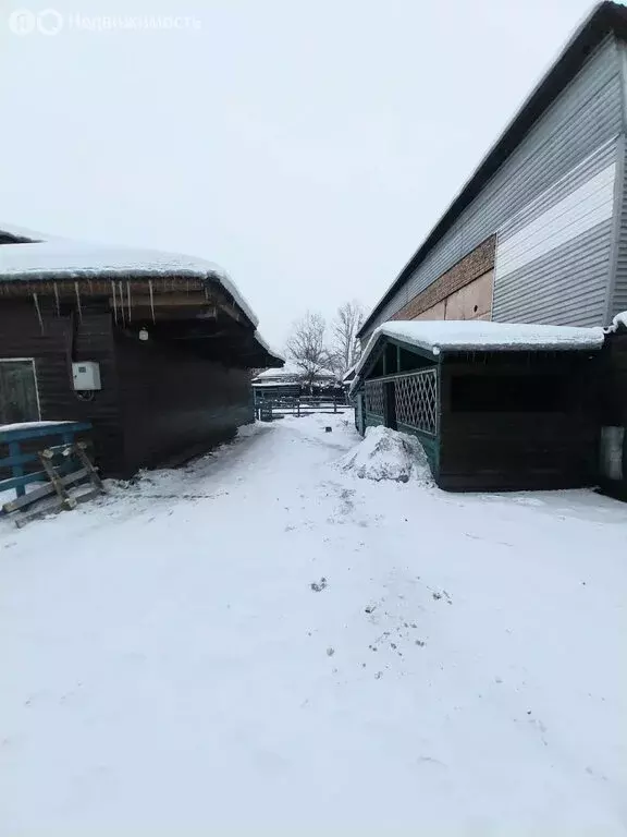 Дом в Кызыл, улица Рихарда Зорге (97 м) - Фото 2