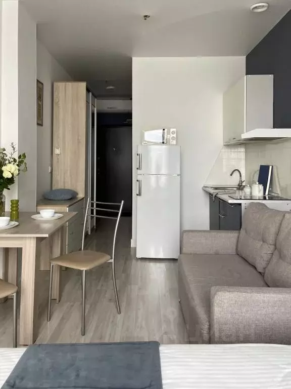 1-к кв. Свердловская область, Екатеринбург ул. Малышева, 42А (28.0 м) - Фото 2