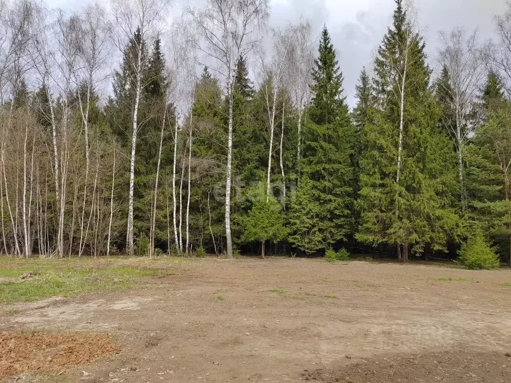 Участок в Московская область, Домодедово городской округ, д. Ивановка  ... - Фото 0