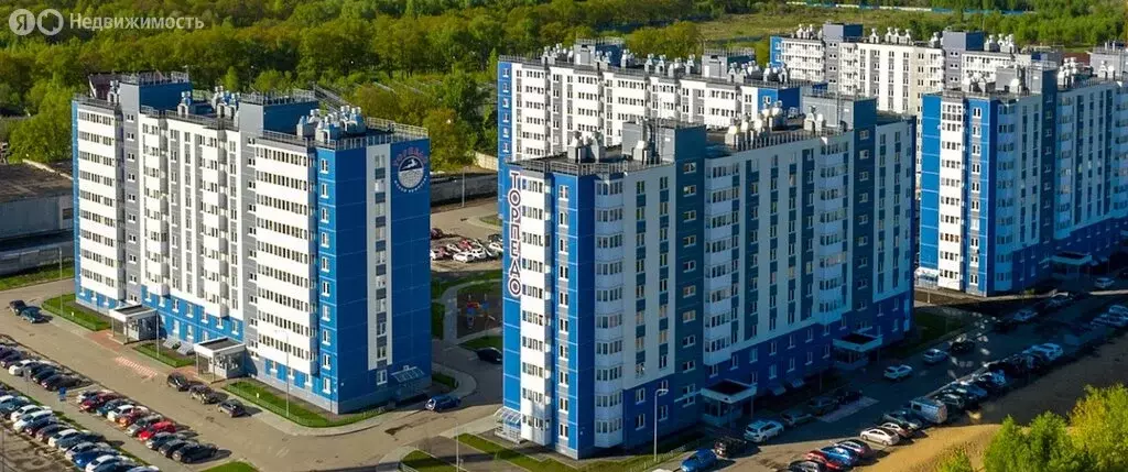 Квартира-студия: Нижний Новгород, улица Бориса Видяева, 10 (21.7 м) - Фото 1