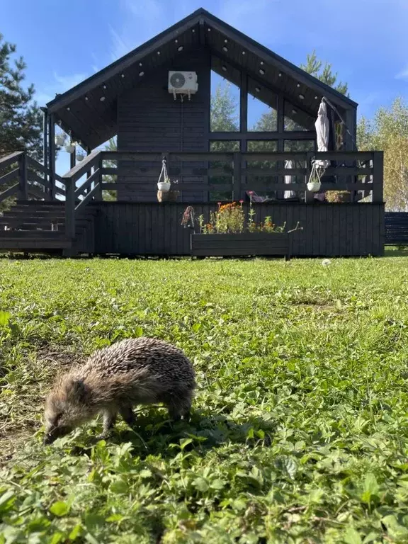 Дом в Владимирская область, Александровский муниципальный округ, д. ... - Фото 0