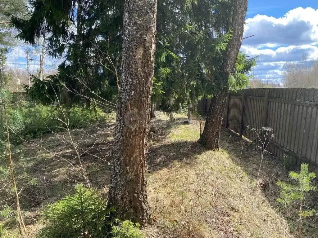 Участок в Москва д. Поляны, 28А (9.5 сот.) - Фото 2