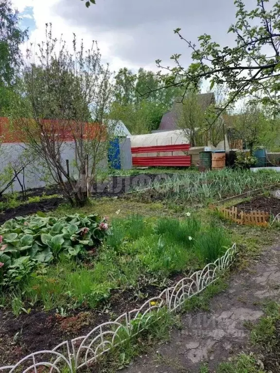 Участок в Кемеровская область, Кемерово  (8.2 сот.) - Фото 0