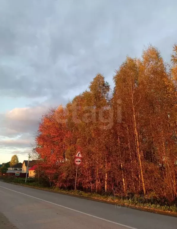 Участок в Пермский край, Краснокамский муниципальный округ, д. ... - Фото 1