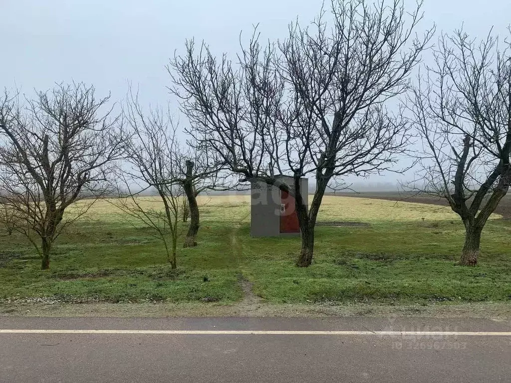 Дом в Крым, Красногвардейский район, с. Ленинское ул. Молодежная (13 ... - Фото 1