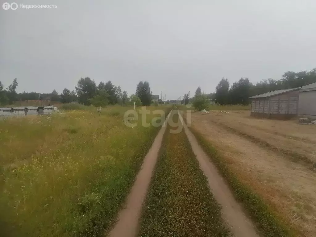 Участок в муниципальный округ Омский район, село Усть-Заостровка (12.5 ... - Фото 2