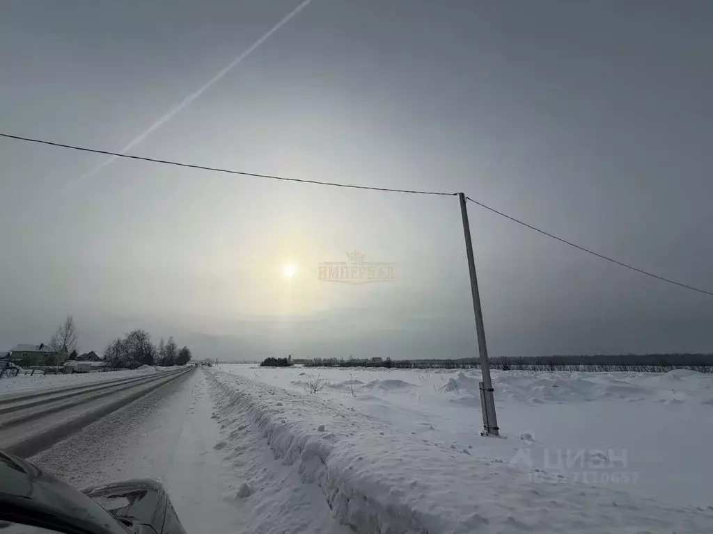 Участок в Марий Эл, Медведевский район, Пекшиксолинское с/пос, д. ... - Фото 1