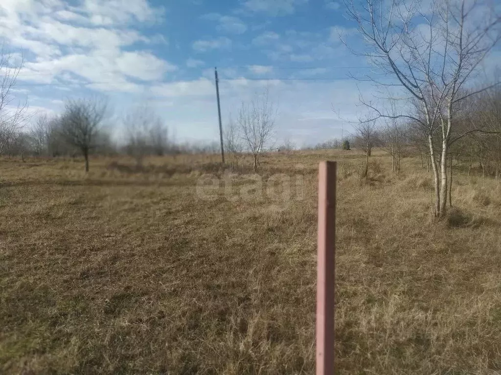 Участок в Краснодарский край, Геленджик городской округ, с. Тешебс  ... - Фото 1