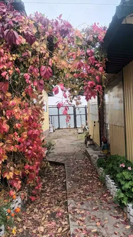 Дом в Хакасия, Абакан ул. Крылова (45 м) - Фото 1