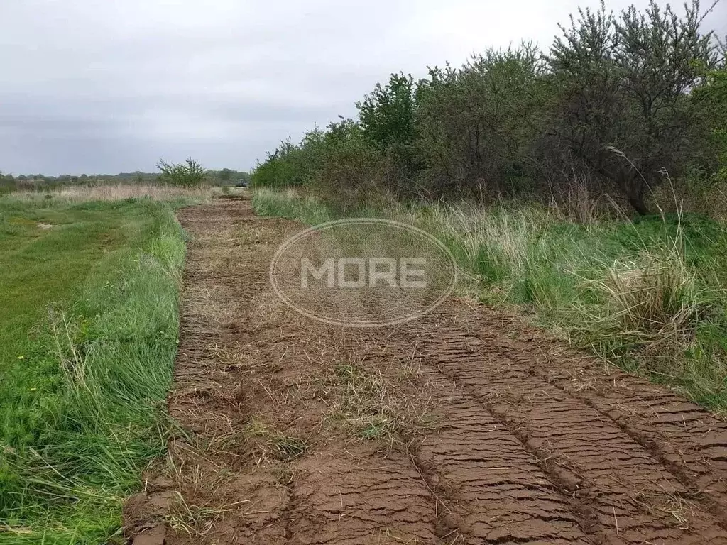 Участок 8 сот. (СНТ, ДНП) - Фото 0
