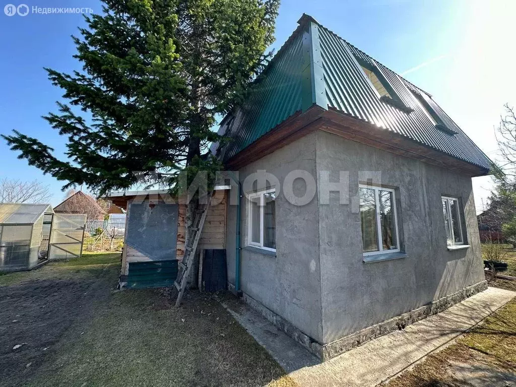 Участок в Новосибирская область, рабочий посёлок Колывань (6.32 м) - Фото 0