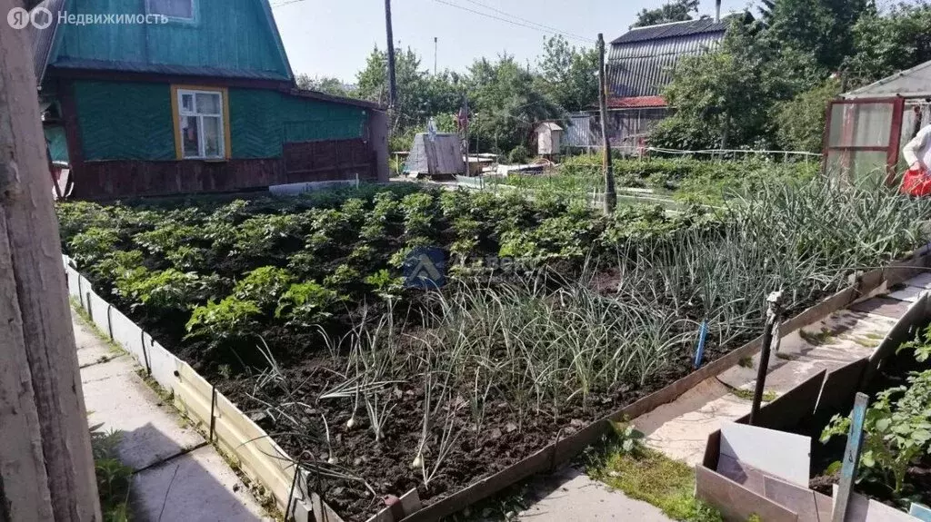Дом в Тюменский район, СНТ Дружба, Кедровая улица (21 м) - Фото 0