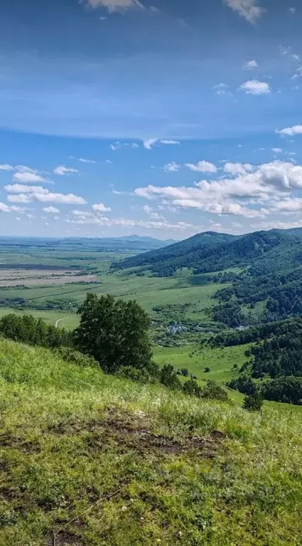 Участок в Алтайский край, Белокуриха Алтайская ул., 165 (12.0 сот.) - Фото 0