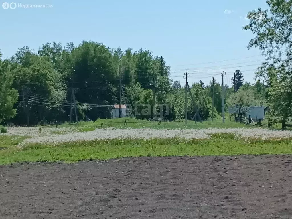 Участок в Томский район, деревня Барабинка, Кедровая улица (15 м) - Фото 1