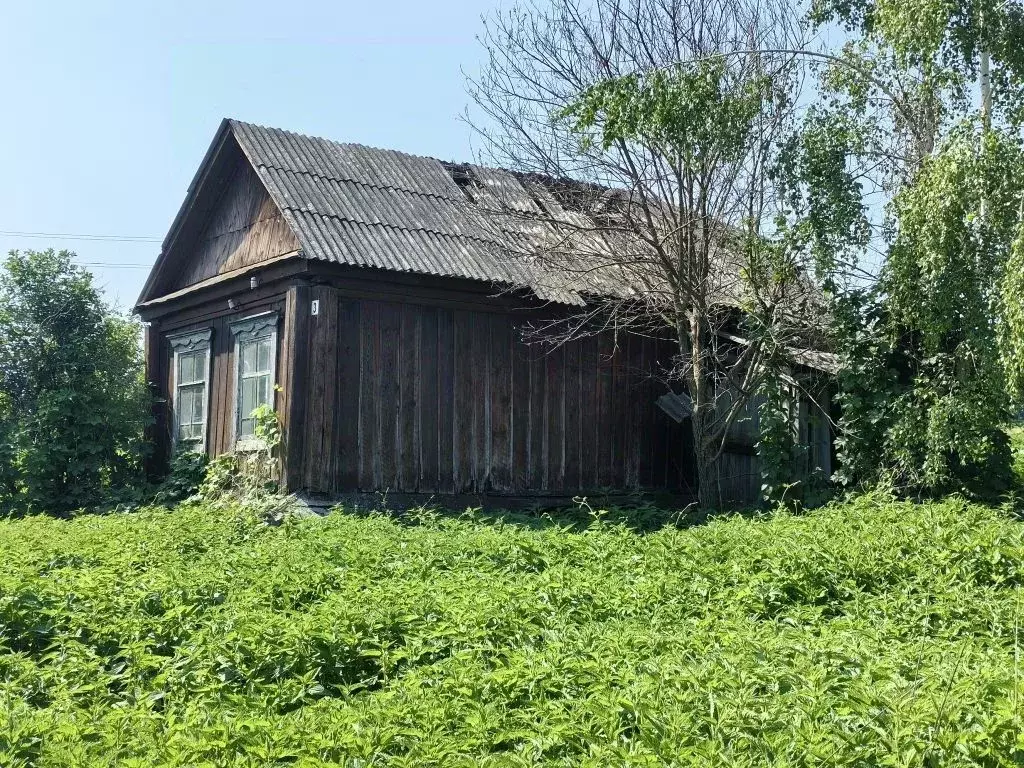 Дом в Пензенская область, Лунинский район, с. Родники ул. Ульяновка, 3 ... - Фото 2