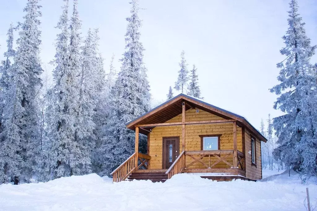 Дом в Мурманская область, Мурманск  (36 м) - Фото 1