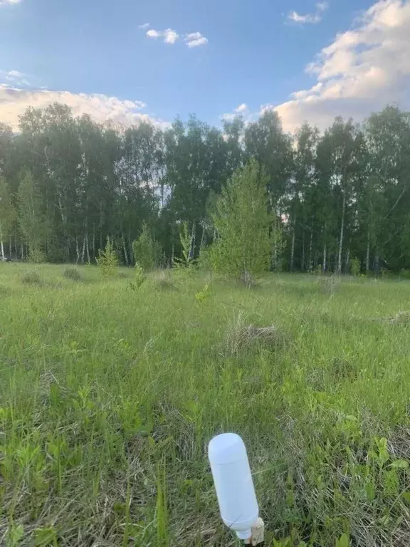 Участок в Курская область, Курский район, Моковский сельсовет, д. 1-я ... - Фото 1