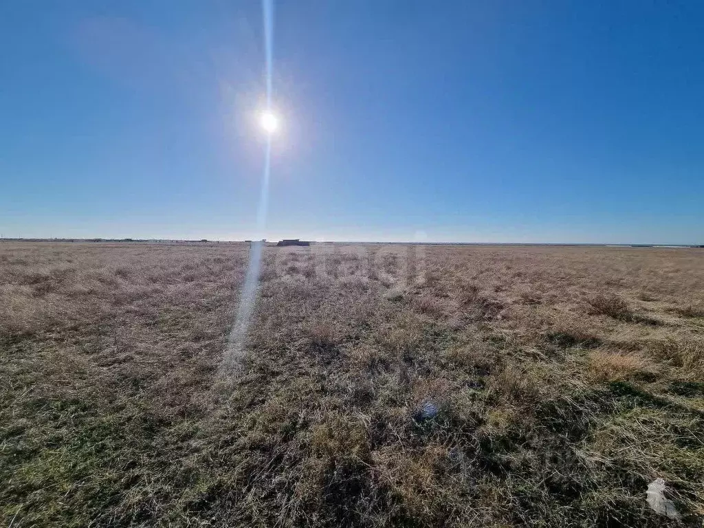 Участок в Крым, Сакский район, Молочненское с/пос, с. Витино  (6.0 ... - Фото 1