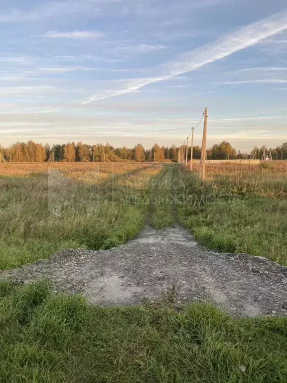 Участок в Тюменская область, Тюменский муниципальный округ, с. ... - Фото 1