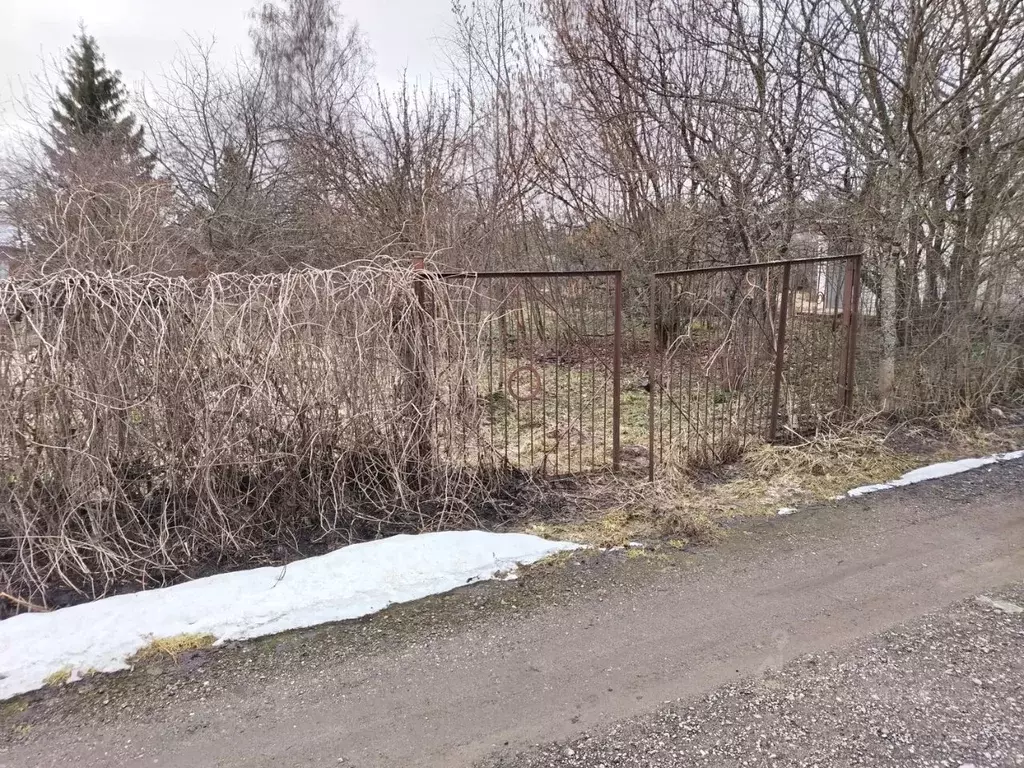 Участок в Московская область, Солнечногорск городской округ, Солнечное ... - Фото 1