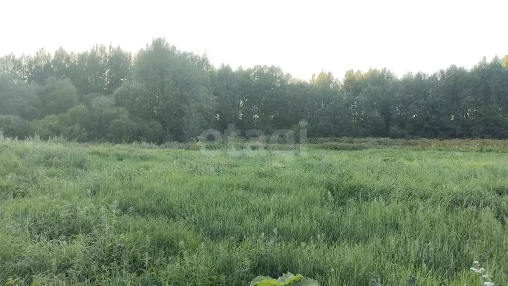 Участок в Вологодская область, с. Первомайское ул. Павловская, 4 (21.0 ... - Фото 2