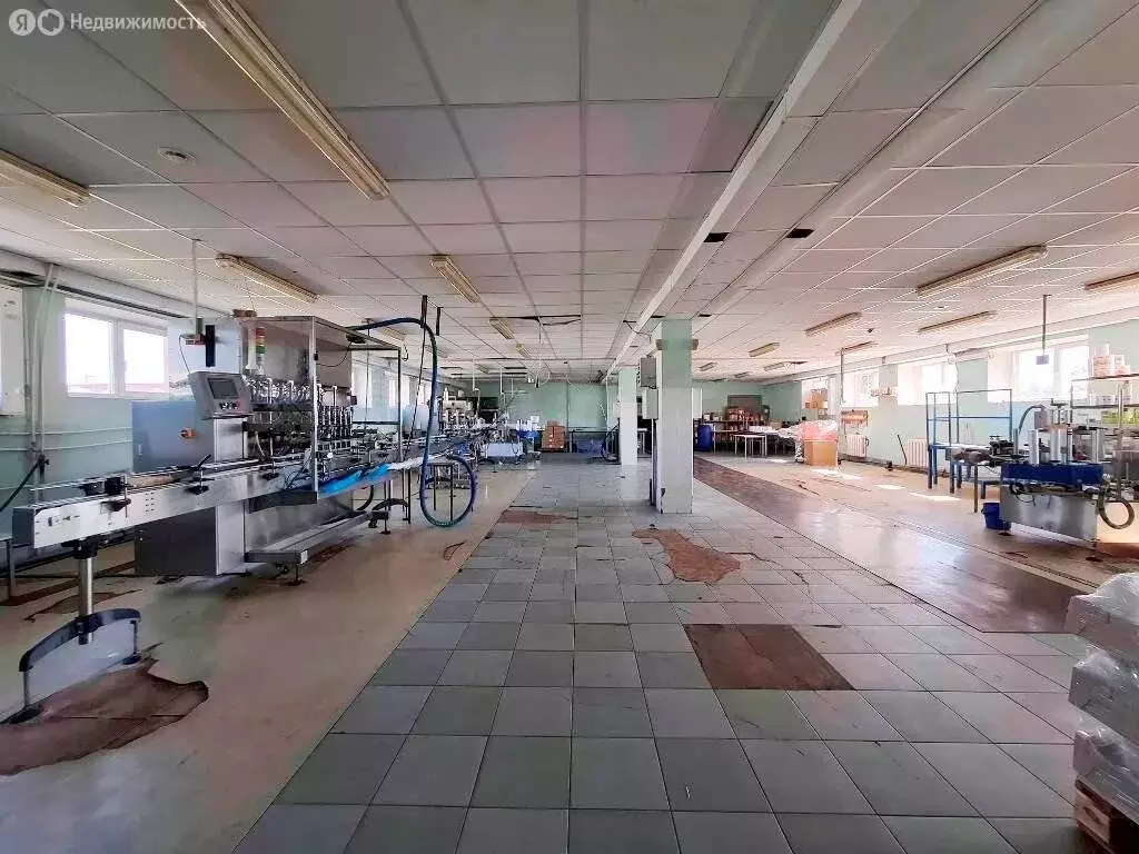 Помещение свободного назначения (350 м) - Фото 2