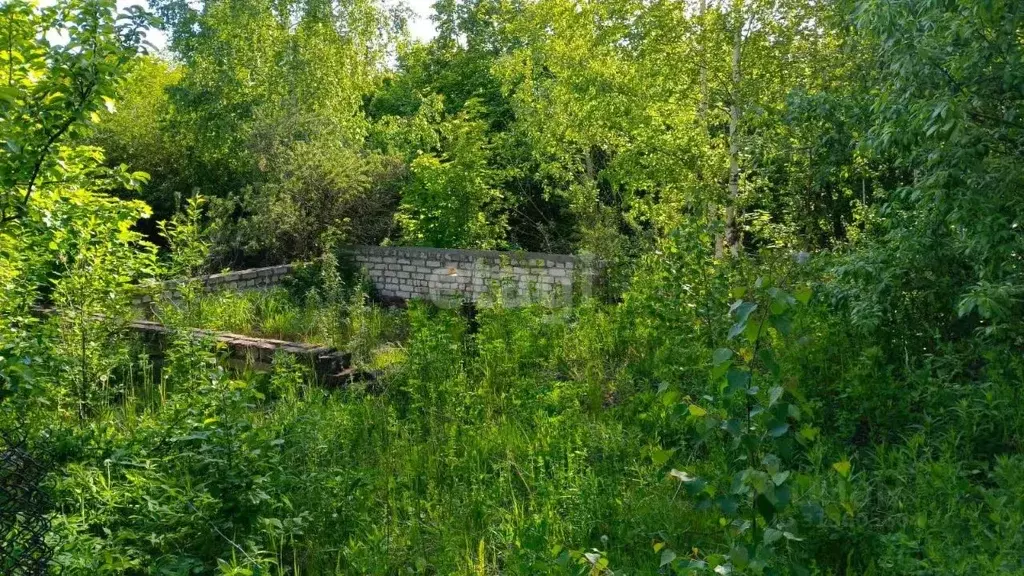 Участок в Башкортостан, Кармаскалинский район, Старомусинский ... - Фото 1