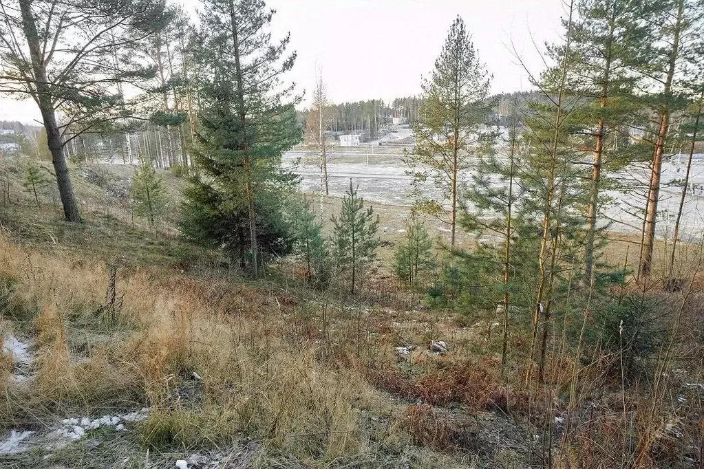 Участок в Ленинградская область, Всеволожский район, Бугровское ... - Фото 0