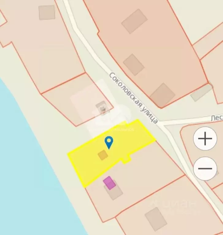 Участок в Алтайский край, Каменский район, с. Соколово Соколовская ... - Фото 2