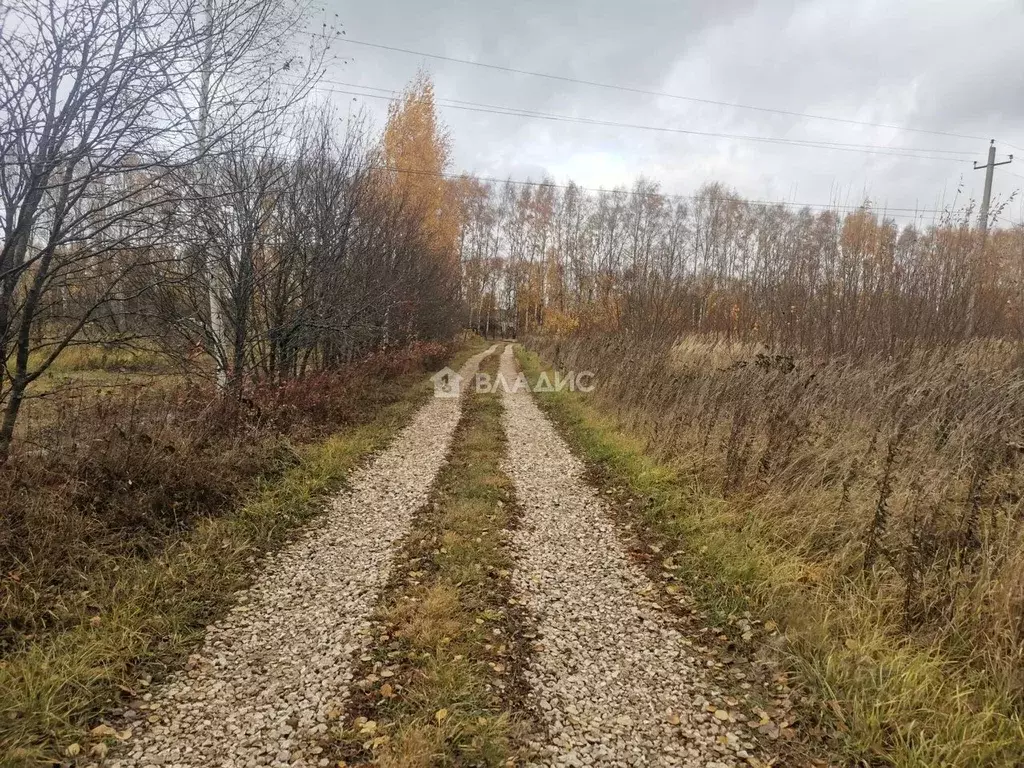 Участок в Владимирская область, Суздальский район, с. Новоалександрово ... - Фото 0